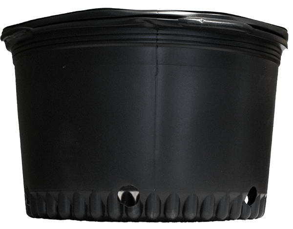 5 Gallon Whiteridge Squat Nursery Pot Black with Handle - 28 per sleeve - Nursery Containers